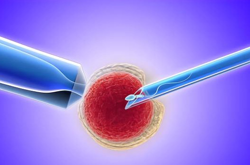 试管移植了优质胚胎为什么没怀孕?