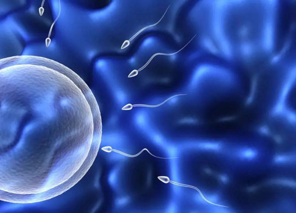 男人精子活力差做试管成功率高吗？试管婴儿对精子质量有哪些要求？