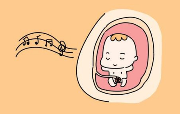泰国试管婴儿为什么不建议移植两个胚胎？成功率高吗？