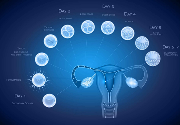 人工授精和试管婴儿的区别是什么？人工授精和试管婴儿到底哪个好？