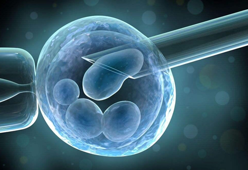 做试管婴儿卵泡应满足什么样的要求？常见的卵泡监测问题有哪些？